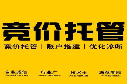 百度移动端应用推广策略探讨